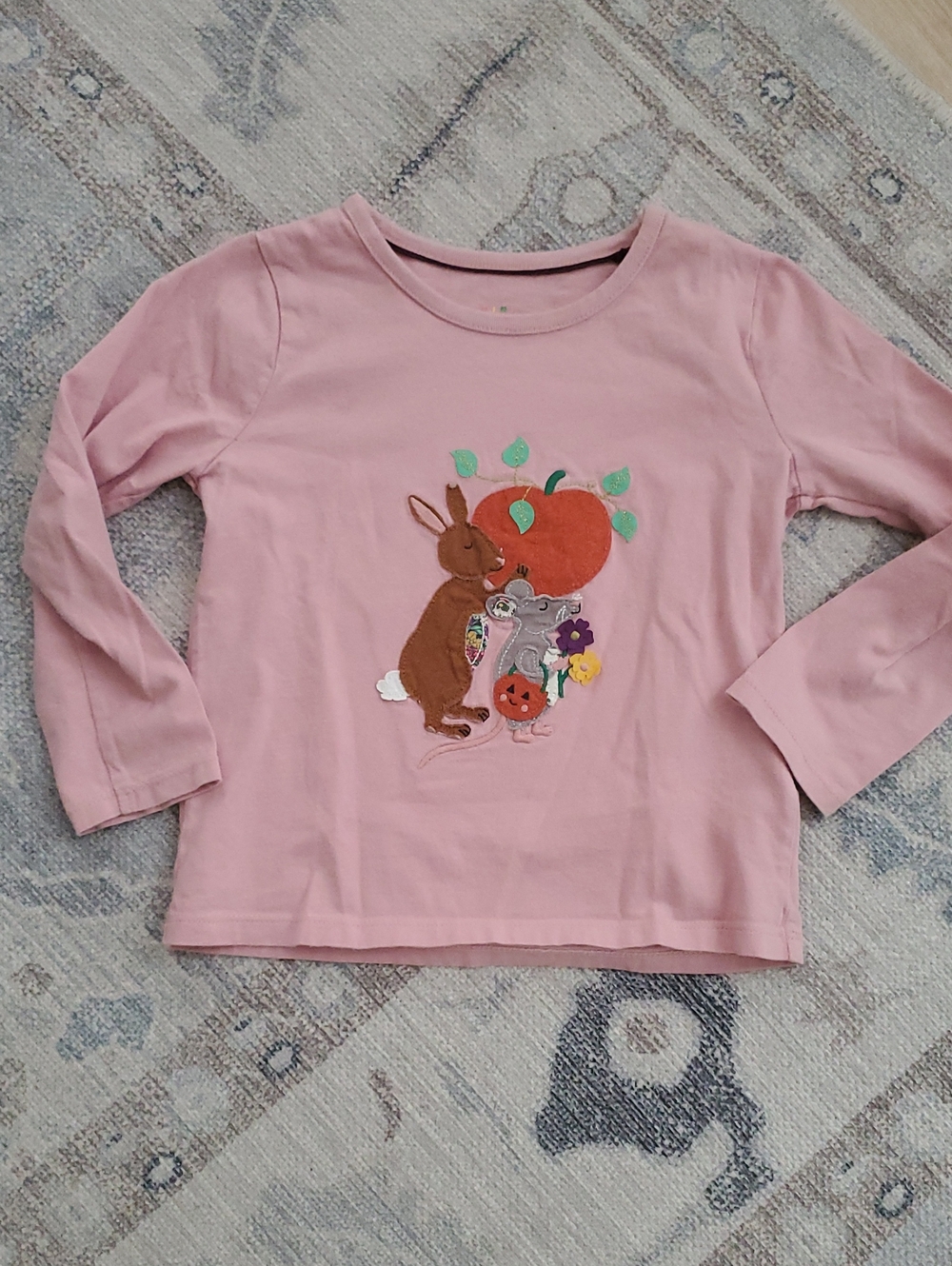 Mini Boden Girls Pumpkin Bunny Mouse Fall Appliqué Long Sleeve T-shirt sz4-5y